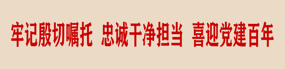 爱国情，奋斗者